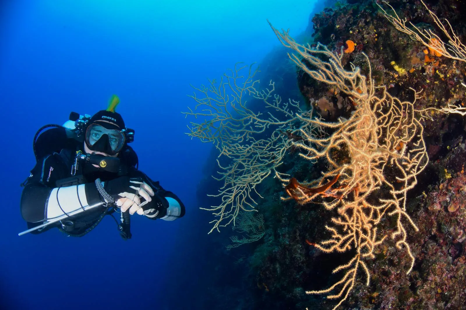 Diving trip