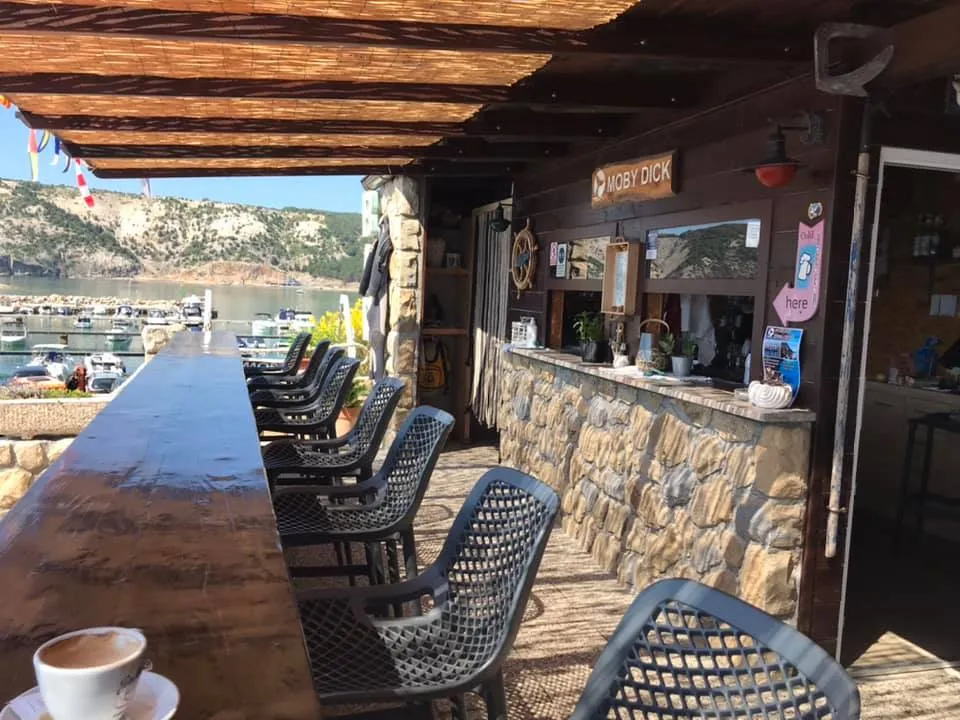 Šank beach bara s pogledom na luku