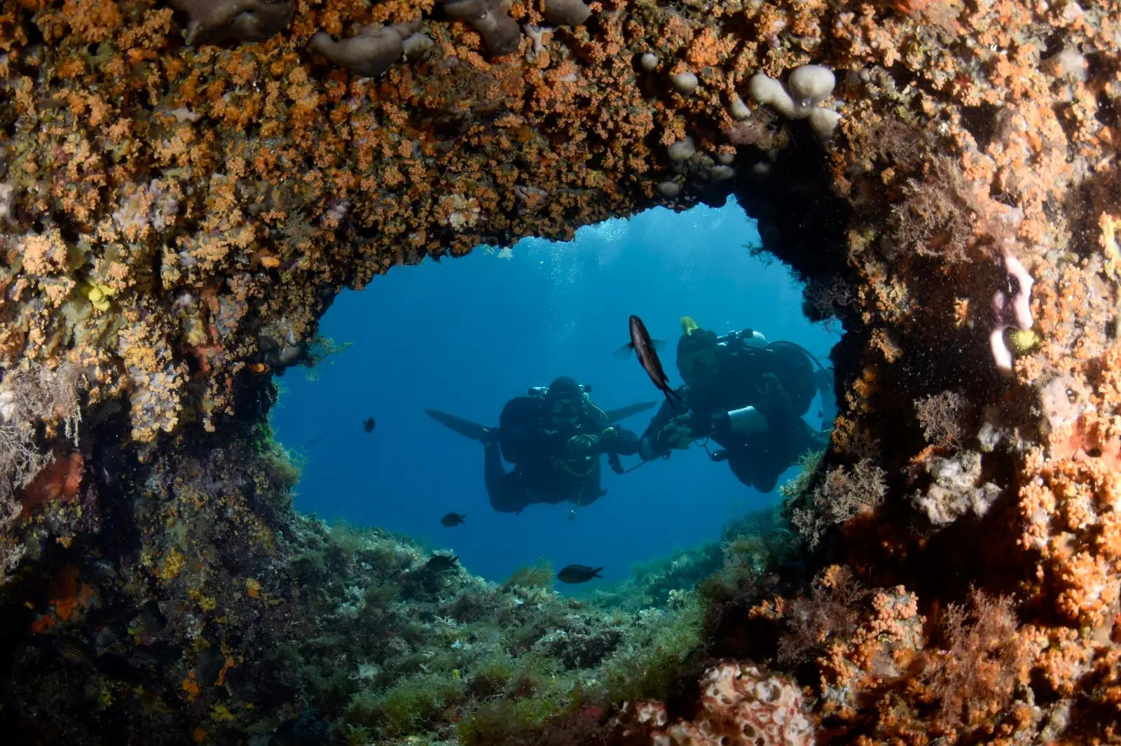Diver inside the tunnel