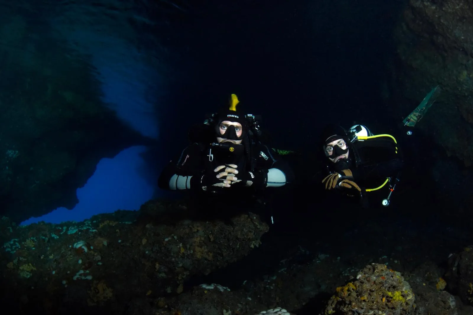 Moby Dick Diving