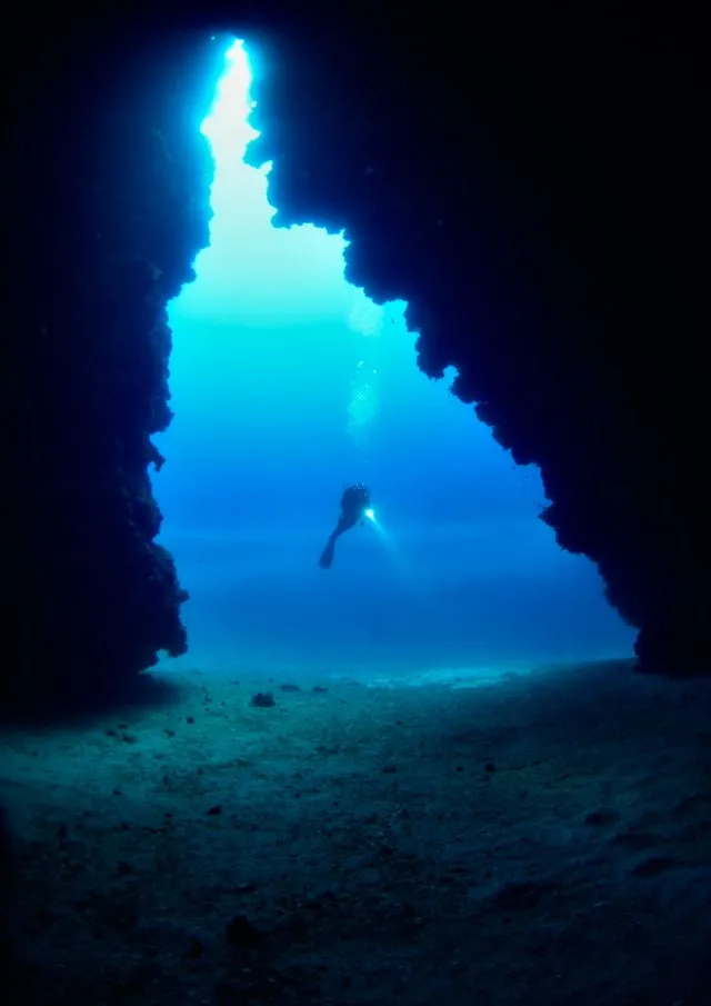 Moby Dick Diving