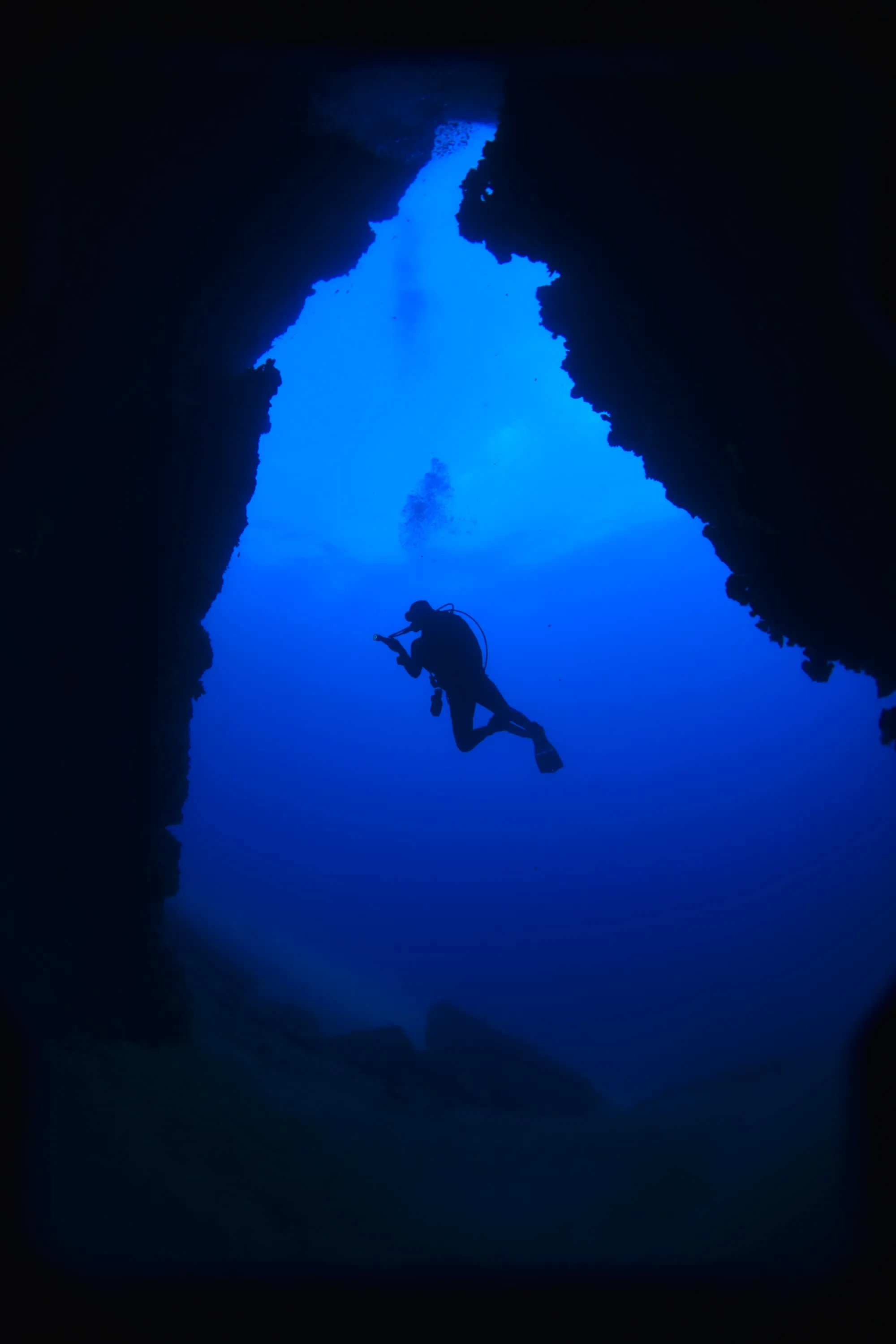 Moby Dick Diving