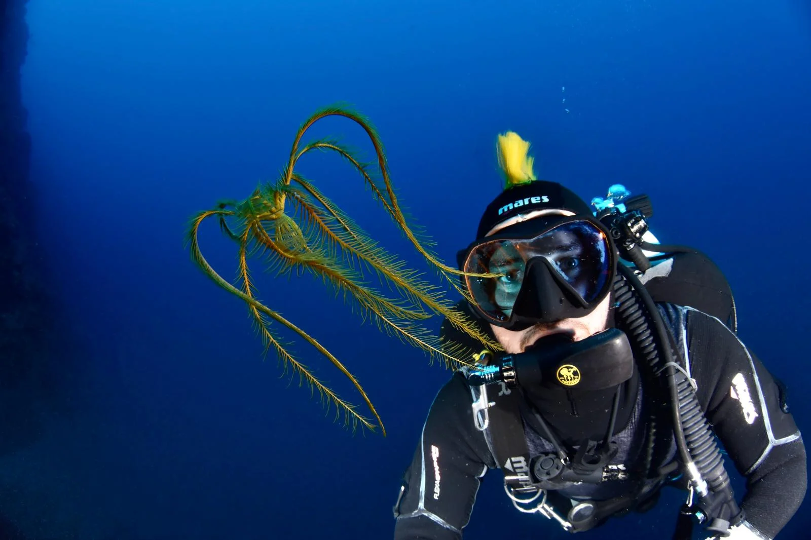Sea cleanup